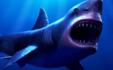 The Black Demon, Gigantic Shark of Mexico – Mexico Unexplained