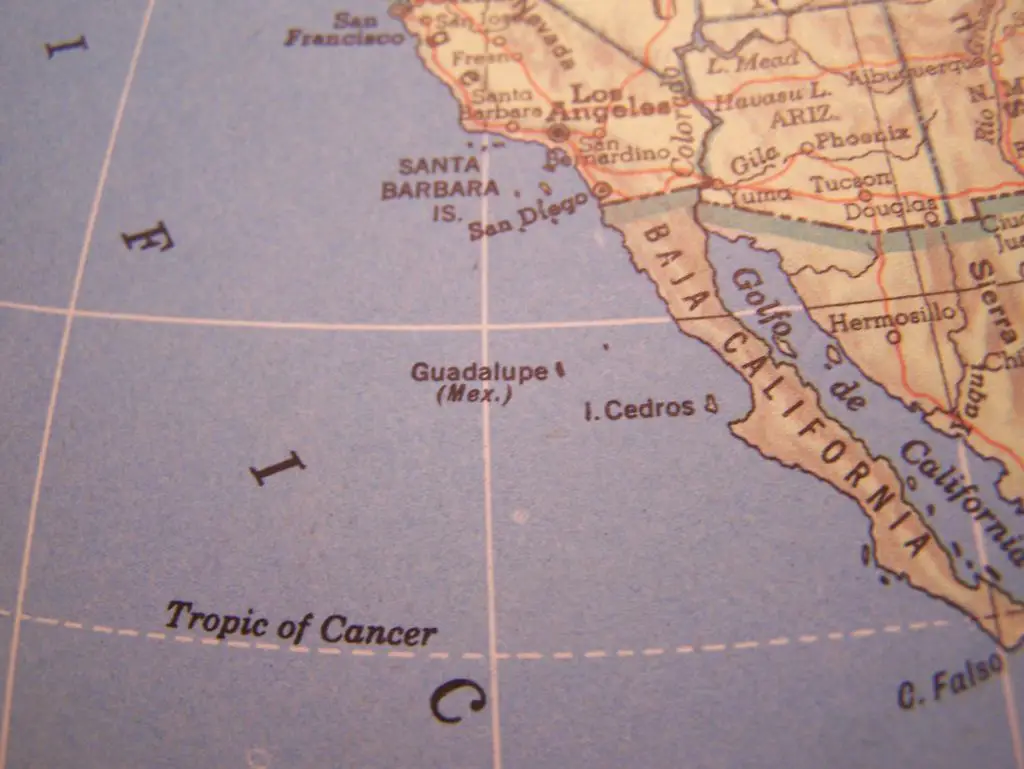 Guadalupe Island, Kingdom of Goats Mexico Unexplained