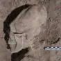 The Alien Skulls of Ónavas, Sonora