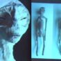 The Mexican Alien Mummies, All You Need to Know