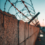 The Jalisco Extermination Camp